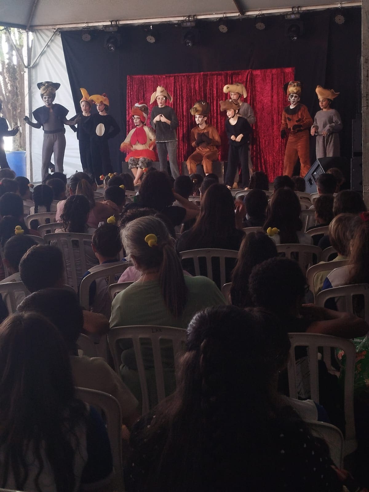 Público na IV FELIBRO